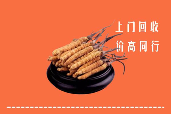 高价求购：喀什岳普湖县回收散虫草