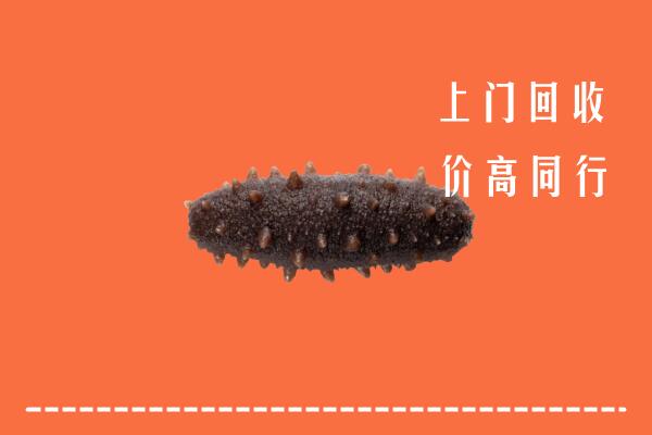 高价求购：喀什岳普湖县回收海参