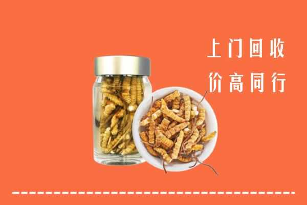 喀什岳普湖县回收冬虫夏草